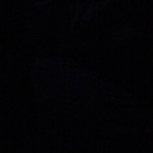 Meet your Posher, Caden